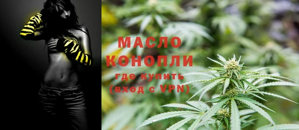крисы Абаза