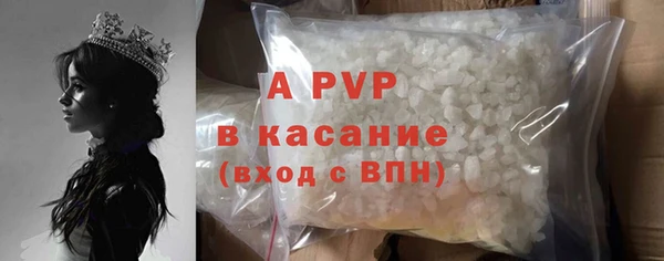крисы Алексин