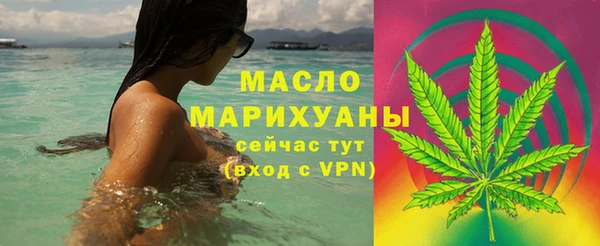 крисы Абаза